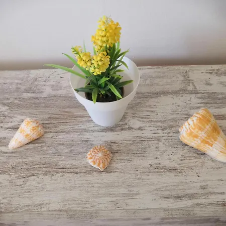 A 20 Metri Dalla بويرتو ديل روزاريو